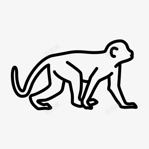 猴子动物猿图标svg_新图网 https://ixintu.com 动物 卷尾猴 哺乳动物 猴子 猿