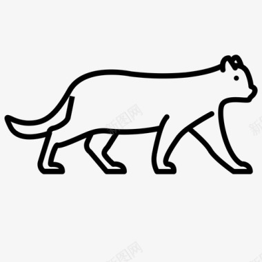 美洲狮动物猫图标图标