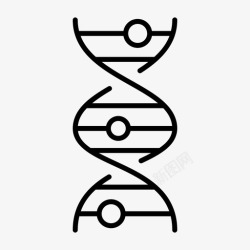 染色体链DNA链染色体遗传学图标高清图片