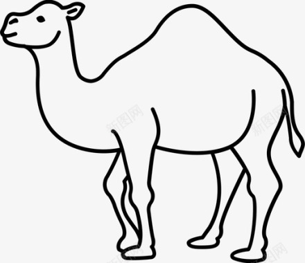 骆驼沙漠单峰骆驼图标图标