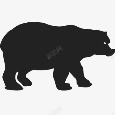 熊的动物冰极地图标图标