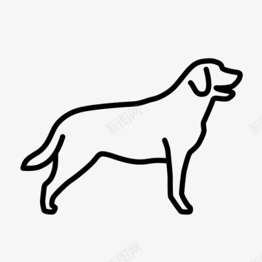 狗动物毛皮图标图标