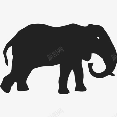 大象动物大鼻子图标图标