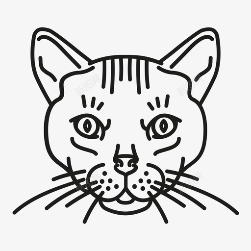 猫动物沙漠图标svg_新图网 https://ixintu.com 动物 沙漠 猫