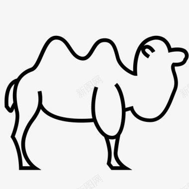 单峰骆驼动物骆驼图标图标