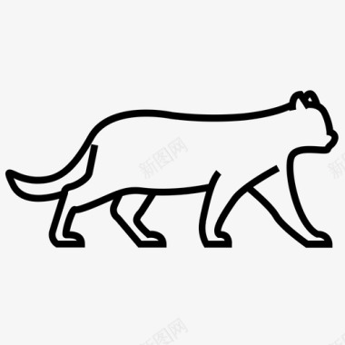 美洲狮动物猫图标图标