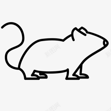 老鼠动物宠物图标图标