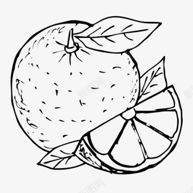 橘子柑橘水果图标图标