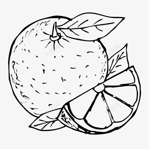 橘子柑橘水果图标svg_新图网 https://ixintu.com 手绘 手绘图标 柑橘 橘子 水果 素描