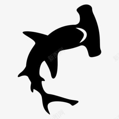 锤头鲨动物鱼图标图标