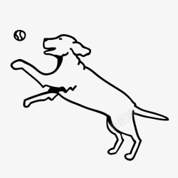 狗接球接球狗跳图标高清图片
