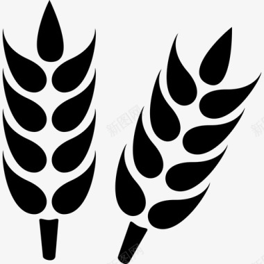 wheat图标