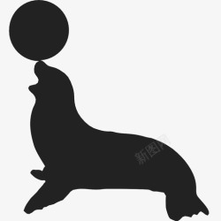 拿球的海豹海豹球游泳图标高清图片