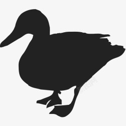 尼玛鸭子阿尼玛动物家禽图标高清图片