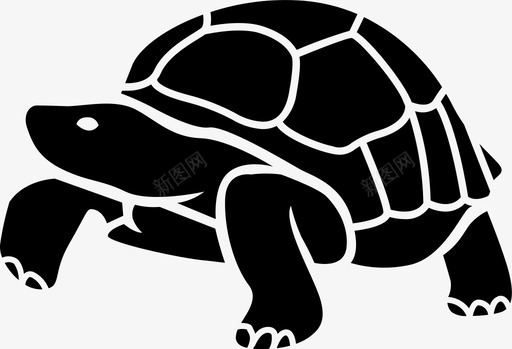 加拉帕戈斯龟动物宠物图标svg_新图网 https://ixintu.com 乌龟 加拉帕戈斯龟 动物 宠物 慢吞吞 爬行动物两栖类