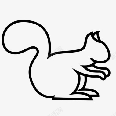 squirell动物花栗鼠图标图标