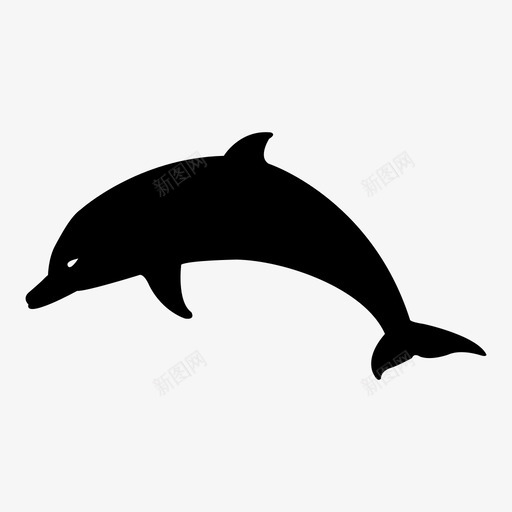 海豚动物哺乳动物图标svg_新图网 https://ixintu.com 动物 哺乳动物 大自然 海豚 野生动物