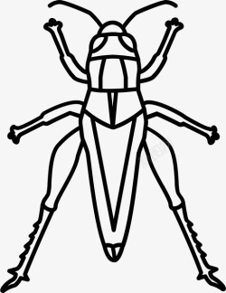 蟋蟀的轮廓蚱蜢虫子蟋蟀图标高清图片