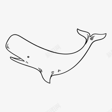 鲸鱼鱼图标图标