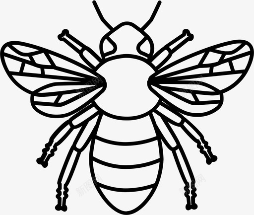 蜜蜂大黄蜂嗡嗡声图标svg_新图网 https://ixintu.com 嗡嗡声 大黄蜂 昆虫轮廓 蜂巢 蜂蜜 蜜蜂