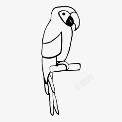 ARA鹦鹉ara自然图标高清图片