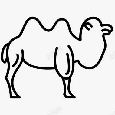 单峰骆驼动物骆驼图标图标