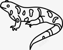 爬行动物的轮廓蝾螈两栖动物鼹鼠图标高清图片