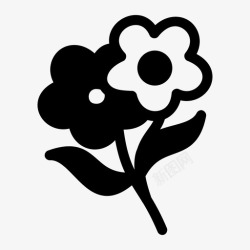 花美人花美人雏菊图标高清图片