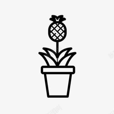 盆栽菠萝灌木图标图标