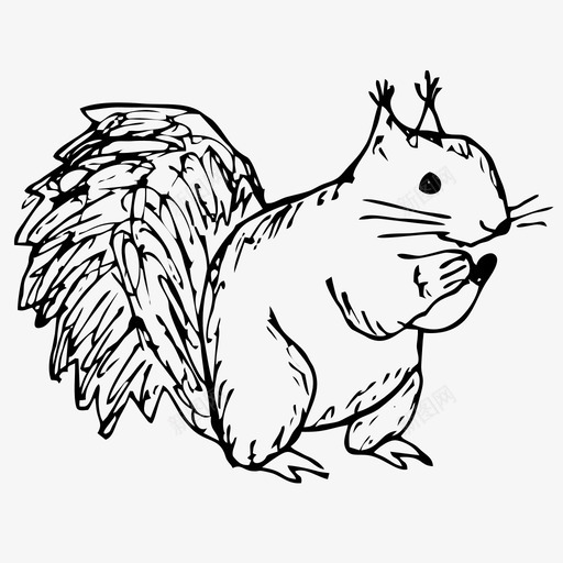 松鼠动物森林图标svg_新图网 https://ixintu.com 动物 手绘图标 松鼠 森林 素描 自然