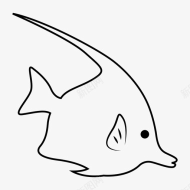 鱼天使鱼动物图标图标