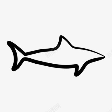 捕食者鲨鱼危险图标图标