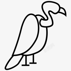 捕食鸟秃鹫动物鸟图标高清图片