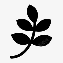 我们的果园我们的果园高清图片
