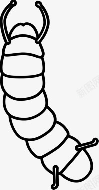 毛虫蛴螬尺蠖图标图标