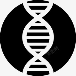 genegene高清图片