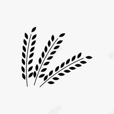 小麦女性花图标图标