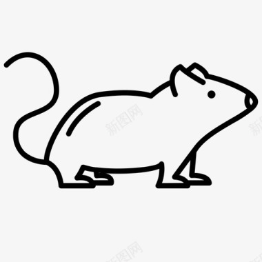 老鼠动物宠物图标图标