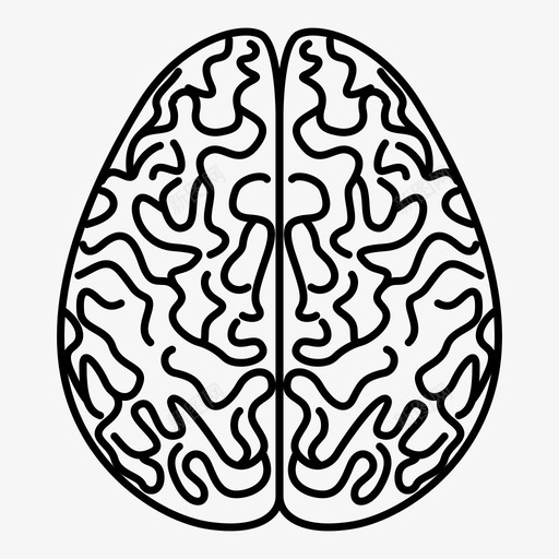 大脑解剖学人脑图标svg_新图网 https://ixintu.com 人脑 大脑 头脑 智力 解剖学