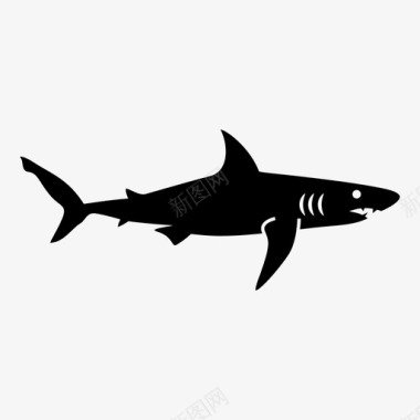 鲨鱼鱼大图标图标