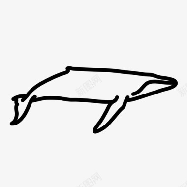 鲸鱼动物喷水孔图标图标