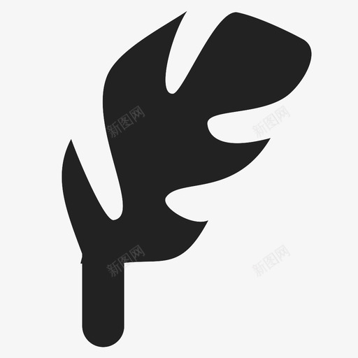 feathersvg_新图网 https://ixintu.com feather