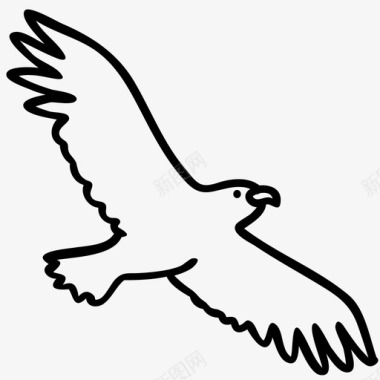 鹰美国鸟图标图标