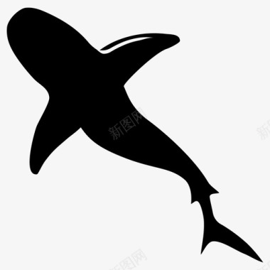 鲨鱼鱼航海图标图标