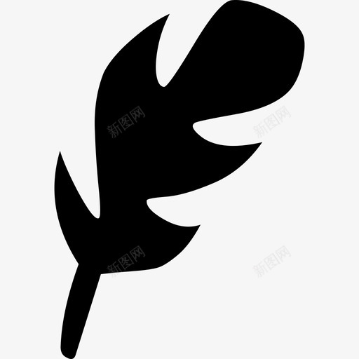 feathersvg_新图网 https://ixintu.com feather