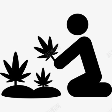 大麻植物大自然图标图标