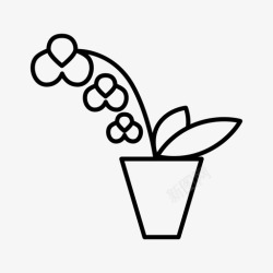 家庭植物兰花生物植物图标高清图片