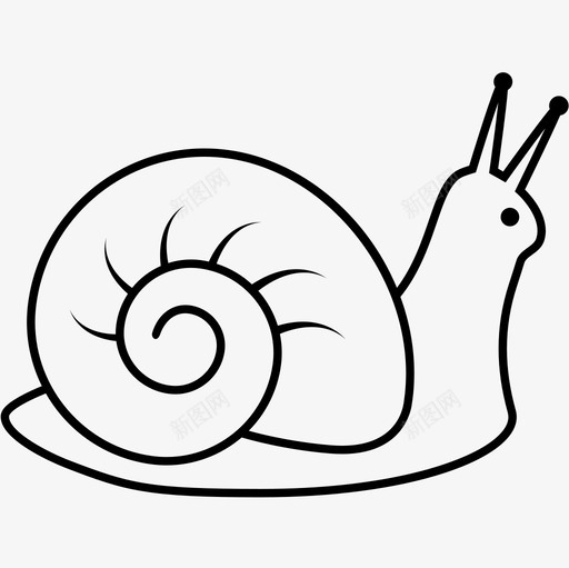 snailsvg_新图网 https://ixintu.com snail nature