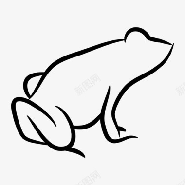 青蛙动物动物线图标图标