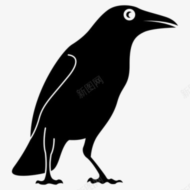 乌鸦动物鸟图标图标